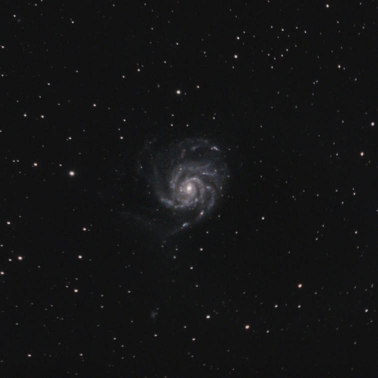 m101-1crop.jpg